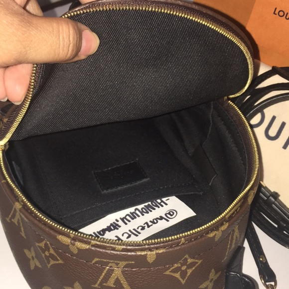 Louis Vuitton Palm Spring Mini Backpack - Picture 14 of 17